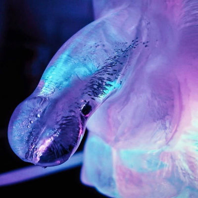 Huge Penis Ice Luge - Party Novelty