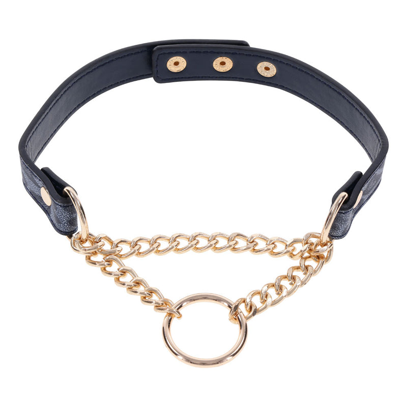 Sex & Mischief Cougar Day Collar - Navy Blue/Gold Collar