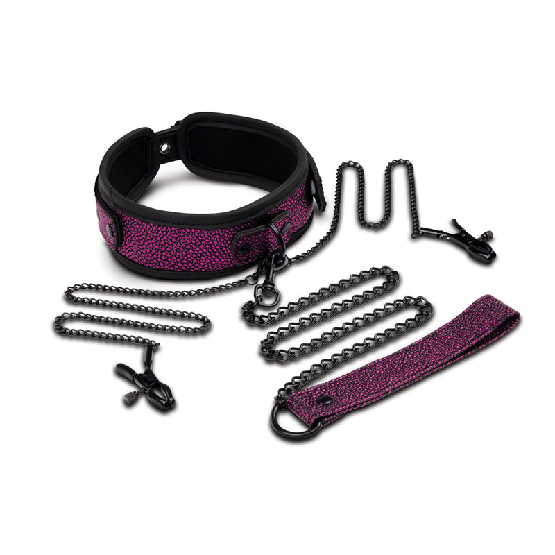 WhipSmart Dragons Lair Collar, Leash & Nipple Clips Set