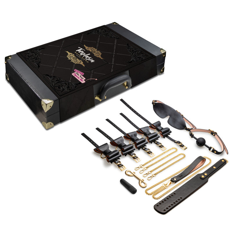 Temptasia Safe Word Bondage Kit with Suitcase - 9 Piece Bondage Set